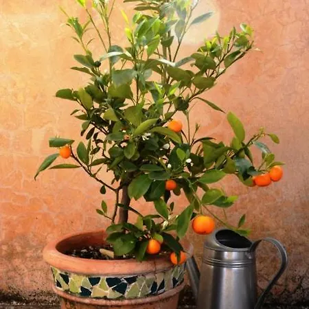 Ca'priola Σπίτι διακοπών Serrungarina
