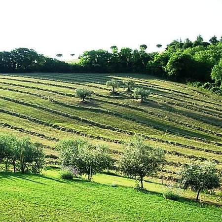 Сasa de vacaciones Ca'priola Serrungarina